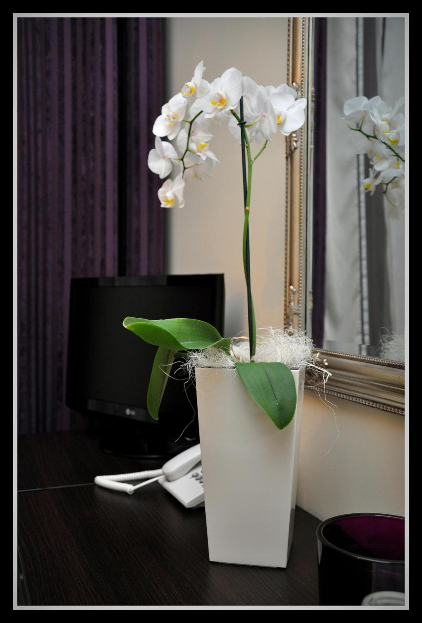 Hotel Willa Adriana Плоцк Екстериор снимка